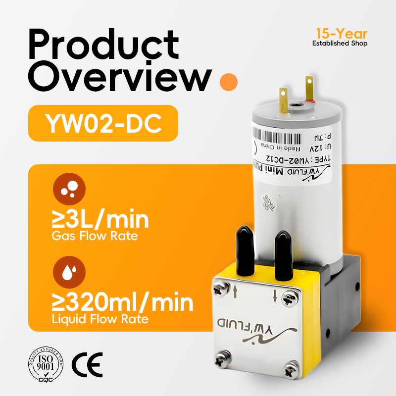 YW02 A-DC Lage Druk 12V 24V DC - Air Compressor Mini recensie en prijs